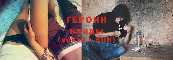 гидра Каменка