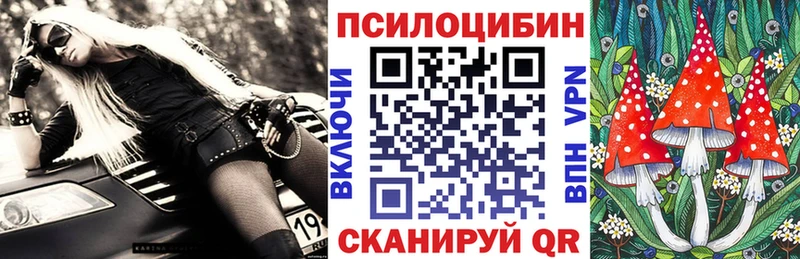 Псилоцибиновые грибы Magic Shrooms  Купить где  Билибино 